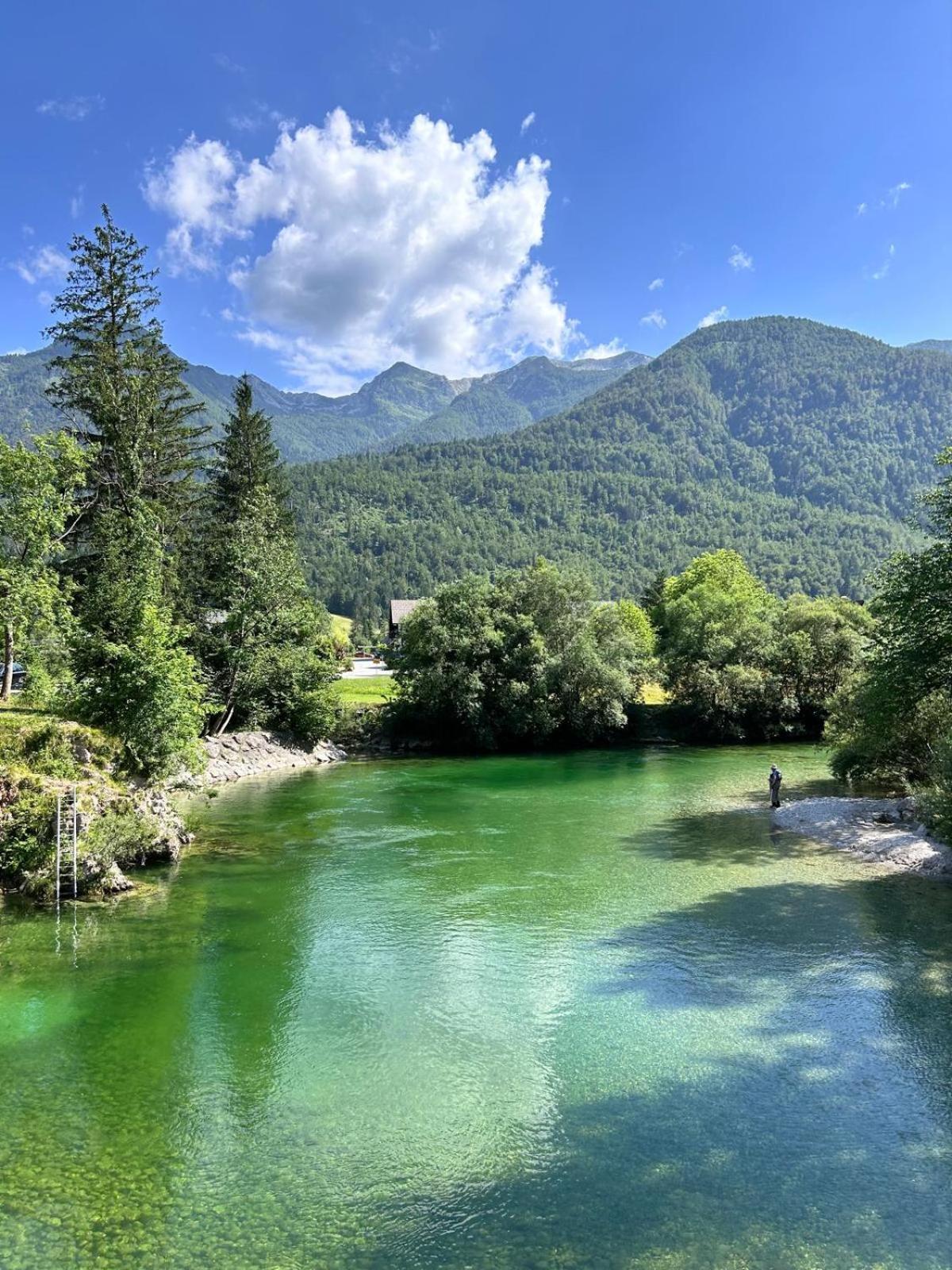 Vila Nina Bohinj Exterior foto